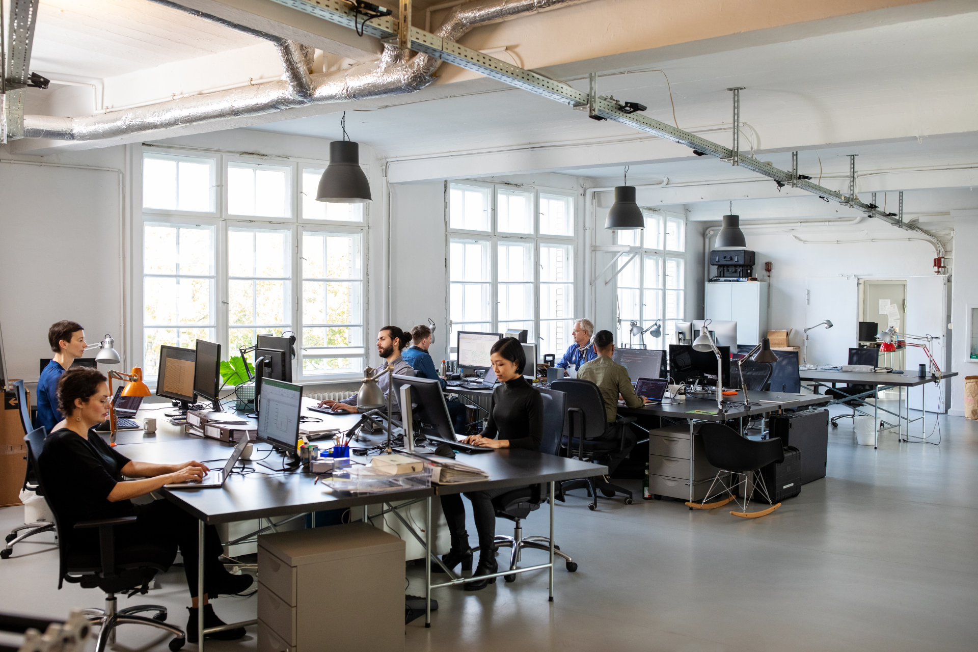 Business Support Excellence